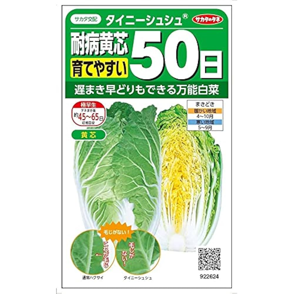 白菜 Amazon | サカタのタネ 耐病黄芯白菜「タイニーシュシュ」のタネ